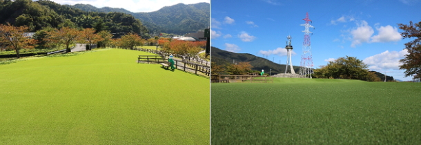 総合運動公園 丸山公園改修工事